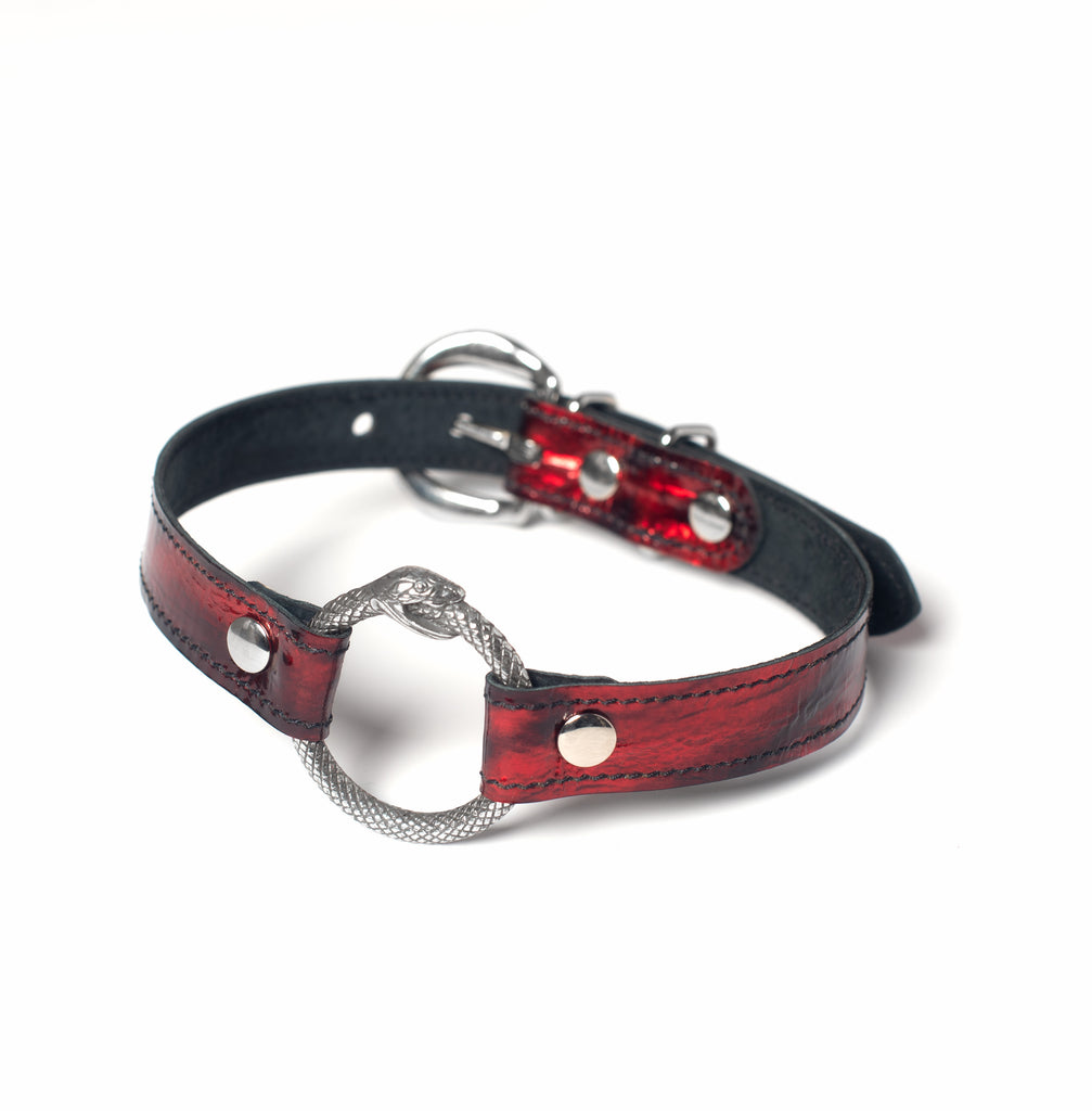 Buy Leather Choker Collar for Dogs with Long Traction Chain Rugged Durable  and Collar Necklace Neck Size Adjustable Suitable for Small Dogs Online at  Low Prices in India - Amazon.in